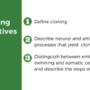 Cloning - Image 2